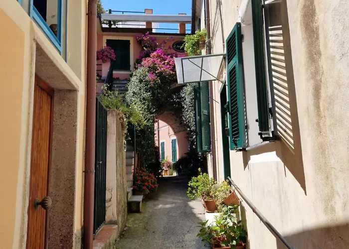 Il Nido Delle Rondini